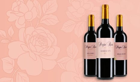 VINS BIO DOMAINE PEYRE ROSE en promo chez 1JOUR1VIN