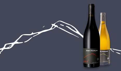 VINS BIO DELICIEUX SAINT-POURCAIN à bas prix chez 1JOUR1VIN