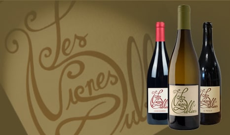 VINS LES VIGNES OUBLIEES  TERRASSES DU LARZAC en vente privée chez 1JOUR1VIN