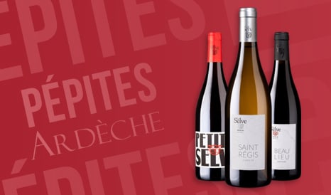 VINS BIO COTEAUX DE L'ARDECHE BIO en vente privilège sur 1JOUR1VIN