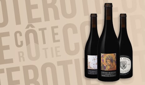 VINS DOMAINE PICHAT pas cher chez 1JOUR1VIN