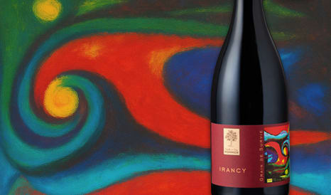 VINS BOURGOGNE  IRANCY 2** HACHETTE ! en vente privilège chez 1JOUR1VIN
