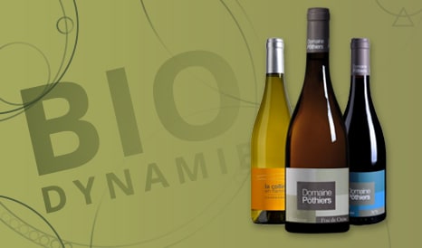 VINS BIO DOMAINE DES POTHIERS en vente privilège chez 1JOUR1VIN