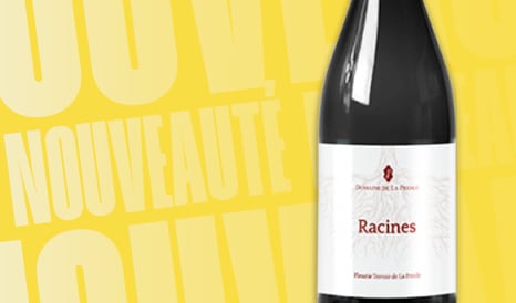 VINS NOUVEAUTE FLEURIE en vente flash chez 1JOUR1VIN