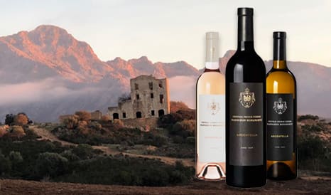 VINS BIO CHATEAU PRINCE PIERRE NAPOLEON BONAPARTE  en vente privilège chez 1JOUR1VIN