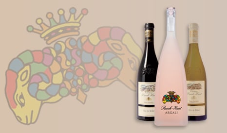 VINS CHATEAU PUECH-HAUT en vente privilège sur 1JOUR1VIN