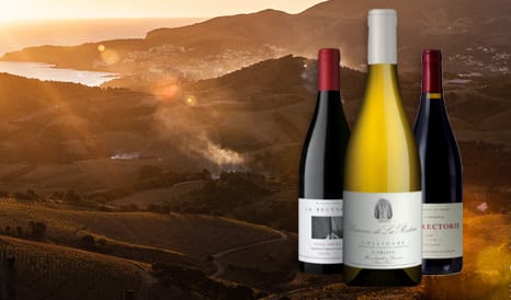 VINS LA RECTORIE  COLLIOURE & BANYULS en vente flash sur 1JOUR1VIN