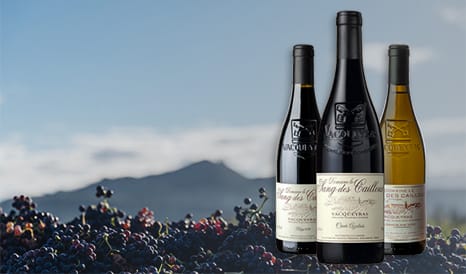 VINS BIO LE SANG DES CAILLOUX  VACQUEYRAS en vente privée chez 1JOUR1VIN