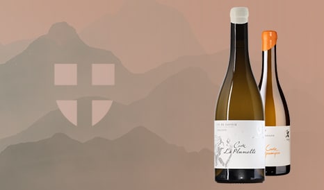 VINS BIO ADRIEN BERLIOZ  SAVOIE pas cher chez 1JOUR1VIN
