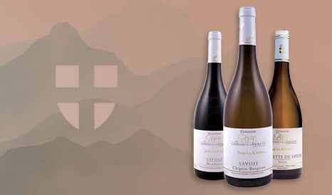 VINS CHATEAU DE LA VIOLETTE pas cher chez 1JOUR1VIN