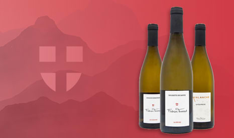 VINS DOMAINE FABIEN TROSSET en soldes sur 1JOUR1VIN