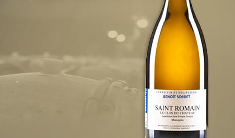 VINS NOUVEAUTE SAINT-ROMAIN en vente flash sur 1JOUR1VIN