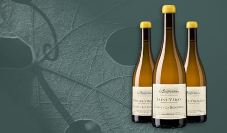 VINS BIO DOMAINE DE LA SOUFRANDIERE à prix discount chez 1JOUR1VIN