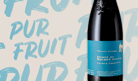 VINS BIO ROCHES NEUVES - THIERRY GERMAIN en vente flash chez 1JOUR1VIN