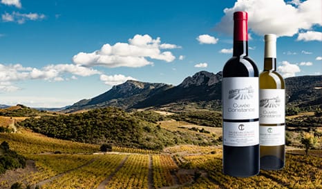 VINS DUO DU ROUSSILLON à prix discount chez 1JOUR1VIN