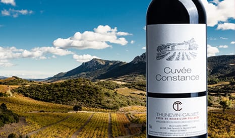VINS PEPITE DU ROUSSILLON 3* HACHETTE ! à bas prix sur 1JOUR1VIN