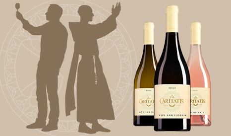 VINS VIA CARITATIS  VENTOUX en vente privilège sur 1JOUR1VIN