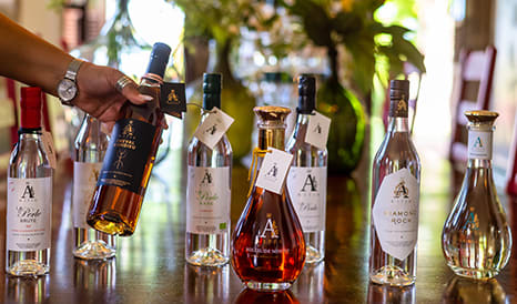 VINS BIO A1710  RHUMS AGRICOLES en vente flash chez 1JOUR1VIN