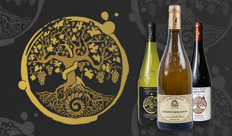 VINS A & M QUENARD  VALEUR SURE DE SAVOIE en soldes sur 1JOUR1VIN