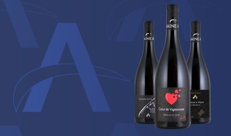 VINS DOMAINE ANITA  CRUS DU BEAUJOLAIS en promo chez 1JOUR1VIN