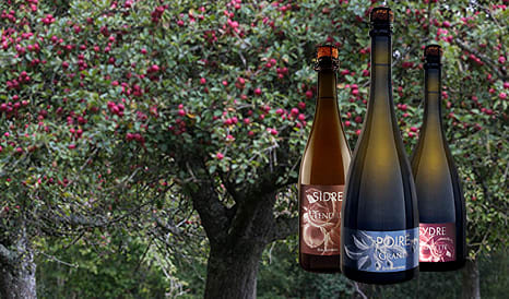 VINS BIO ERIC BORDELET  CIDRES ET POIRES à prix discount chez 1JOUR1VIN