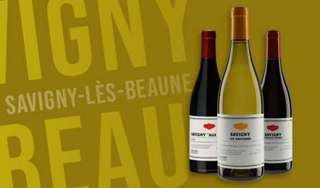 VINS BIO LOUIS CHENU PERE & FILLES en vente privilège chez 1JOUR1VIN