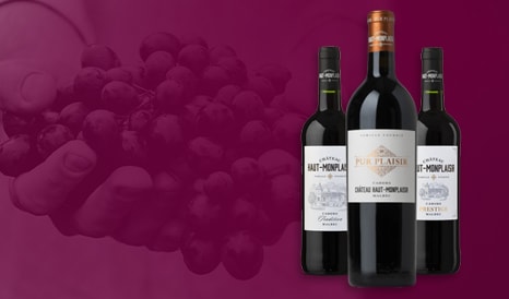 VINS BIO CHATEAU HAUT-MONPLAISIR en vente privée sur 1JOUR1VIN