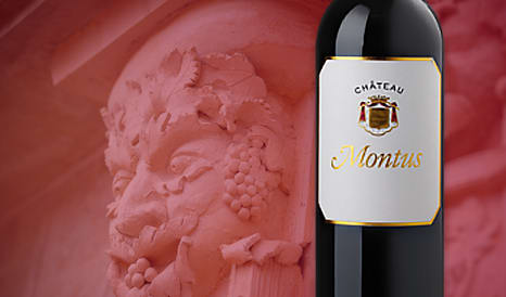 VINS CHATEAU MONTUS 2020 à prix discount sur 1JOUR1VIN