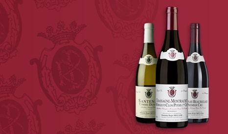 VINS SANTENAY & CHASSAGNE-MONTRACHET en vente flash chez 1JOUR1VIN