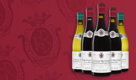 VINS ROGER BELLAND  BOURGOGNE à prix discount chez 1JOUR1VIN