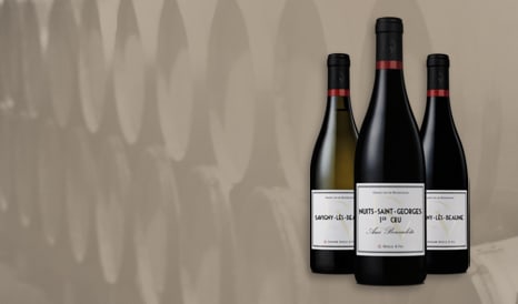 VINS BIO GRANDS VINS DE BOURGOGNE à bas prix sur 1JOUR1VIN