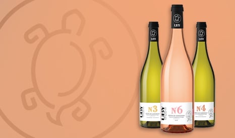 VINS BIO UBY  COTES DE GASCOGNE en vente privilège chez 1JOUR1VIN