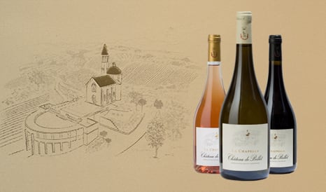 VINS BIO CHATEAU DE BELLET à super prix sur 1JOUR1VIN