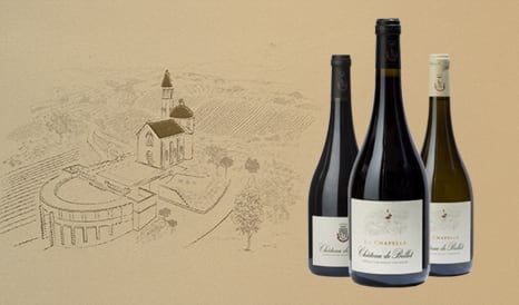 VINS BIO AOC BELLET  PROVENCE CONFIDENTIELLE pas cher chez 1JOUR1VIN