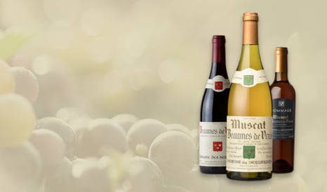 VINS DOMAINE DES BERNARDINS en vente privilège chez 1JOUR1VIN
