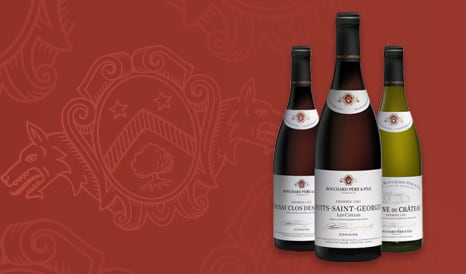 VINS BOUCHARD PERE ET FILS en promo chez 1JOUR1VIN