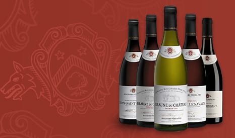 VINS BOUCHARD PERE ET FILS en soldes chez 1JOUR1VIN