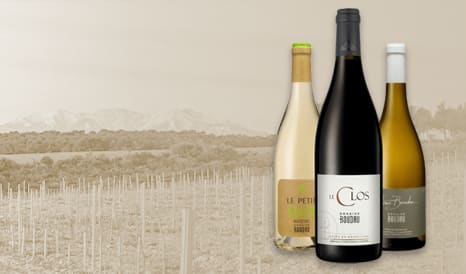 VINS BIO ROUSSILLON à bas prix chez 1JOUR1VIN