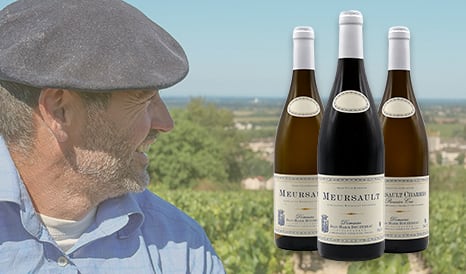 VINS JEAN-MARIE BOUZEREAU  MEURSAULT en vente flash chez 1JOUR1VIN