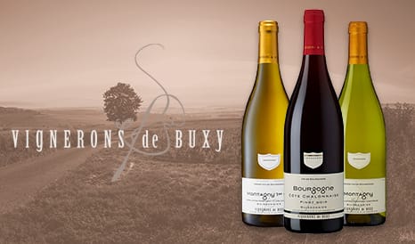VINS BOURGOGNE PRIX/PLAISIR ! pas cher sur 1JOUR1VIN