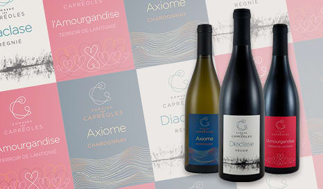 VINS BIO LES CAPREOLES, GOURMANDISE DU BEAUJOLAIS  en vente privée sur 1JOUR1VIN