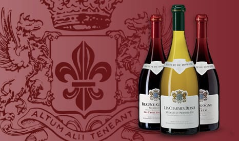 VINS CHATEAU DE MEURSAULT en vente privée sur 1JOUR1VIN