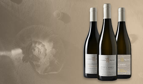 VINS CHARLY NICOLLE  TERROIR DE CHABLIS pas cher sur 1JOUR1VIN