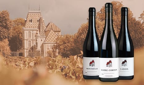 VINS CHATEAU CORTON C  JOYAU DE BOURGOGNE en vente privilège sur 1JOUR1VIN