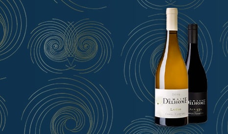 VINS NOUVEAUTE CROZES-HERMITAGE à prix discount chez 1JOUR1VIN