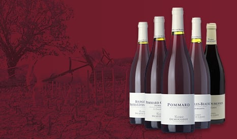VINS RODOLPHE DEMOUGEOT  BOURGOGNE à super prix chez 1JOUR1VIN
