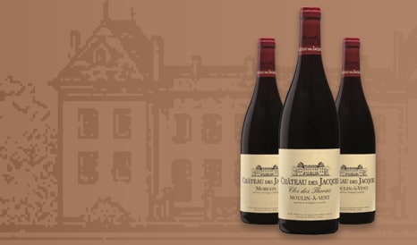 VINS CHATEAU DES JACQUES pas cher sur 1JOUR1VIN