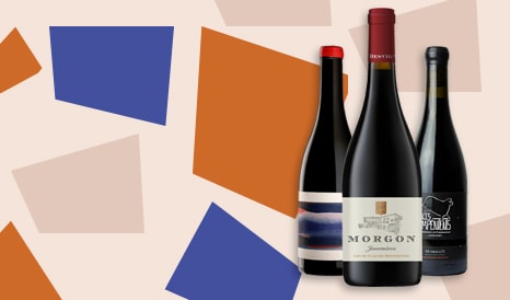VINS BIO LOUIS-CLAUDE DESVIGNES  MORGON en soldes chez 1JOUR1VIN