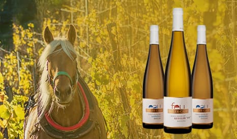 VINS BIO DIRLER-CADE  ALSACE GRAND CRU en soldes chez 1JOUR1VIN