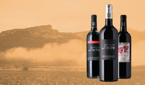 VINS DOMAINE DE L'EDRE - ROUSSILLON en vente privée sur 1JOUR1VIN